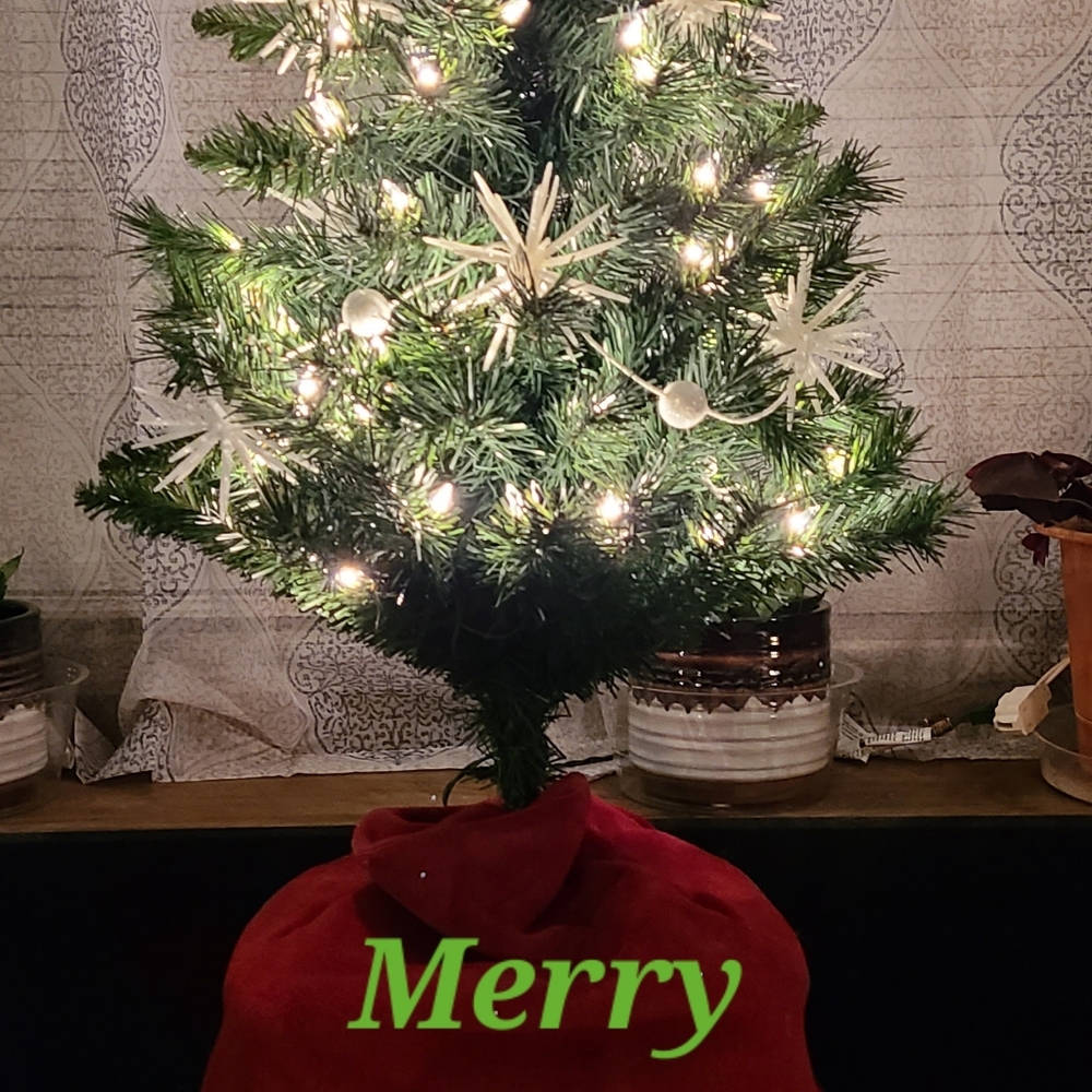 Merry Christmas